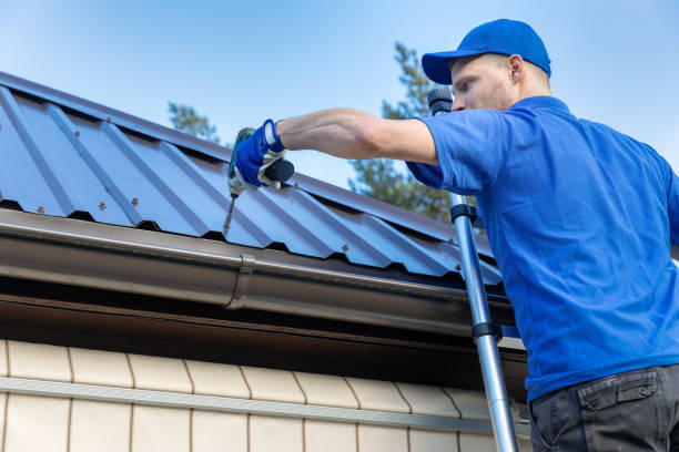 Best Skylight Installation and Repair  in Bayard, NE